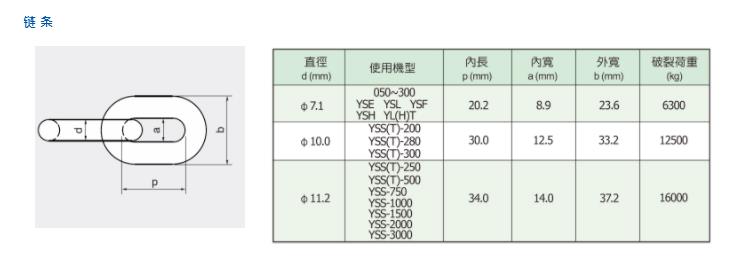 台湾黑熊电动葫芦